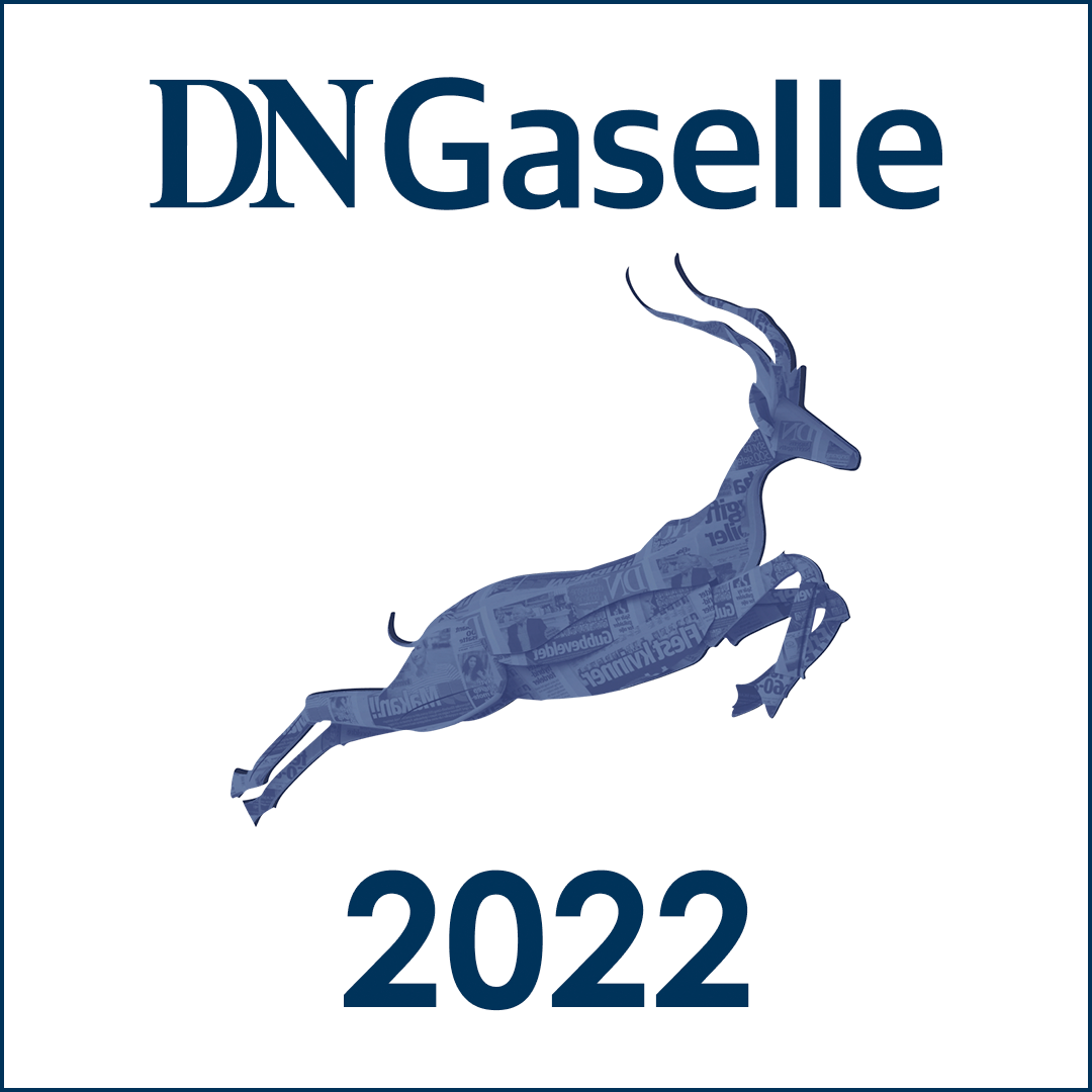 DN gaselle